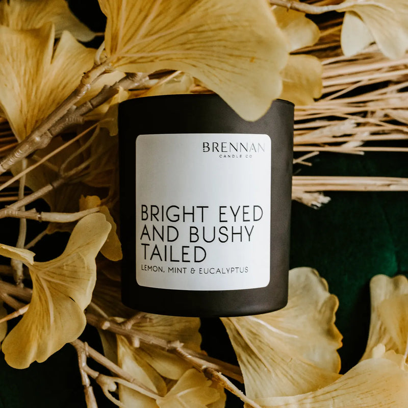 Bright Eyed & Bushy Tailed | Luxury Candles | Lemon Candle