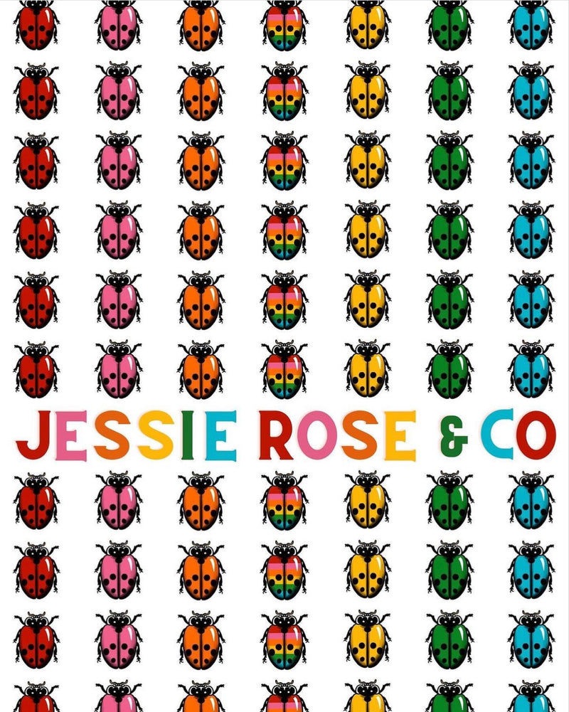 Jessie Rose & Co. canvas rainbow ladybug tote
